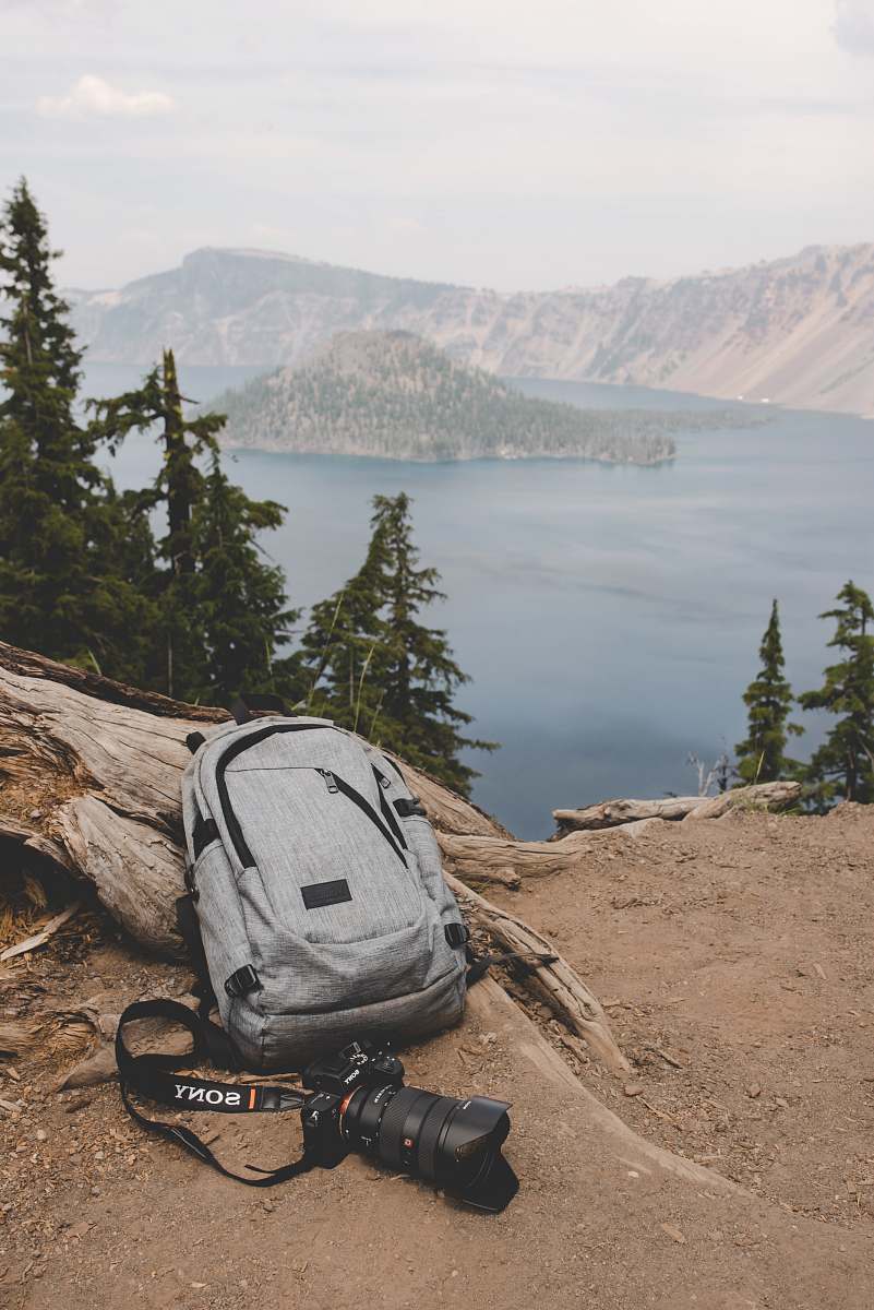landscape gray and black backpack beside gray tree log and black Sony DSLR camera grey